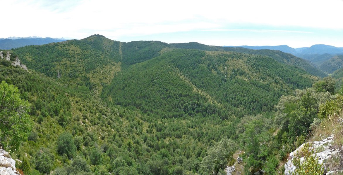 Argible, Gazteluzarretik