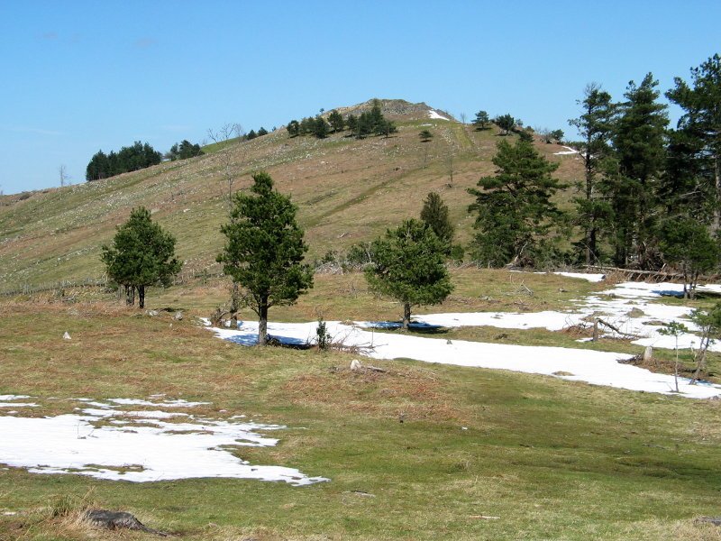 Arripillaeta hegoaldetik