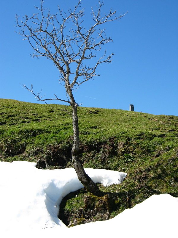 Oamendi tontorraren inguruan