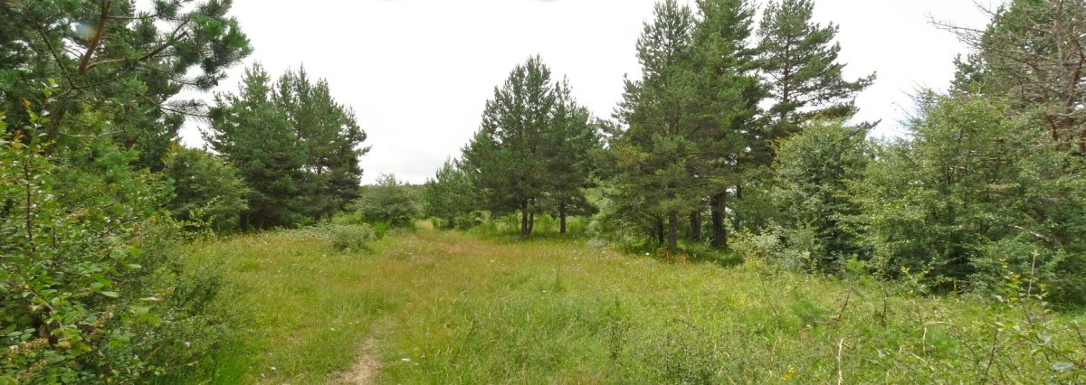 Lizarragako Gaineko gailurra (1230m)