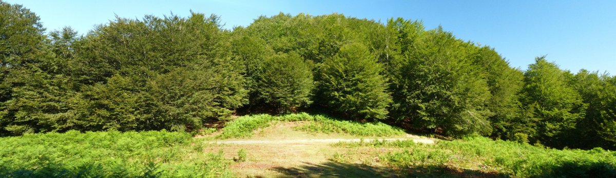Arketako lepoa, Begaña eta Ozpegaña gainen artean