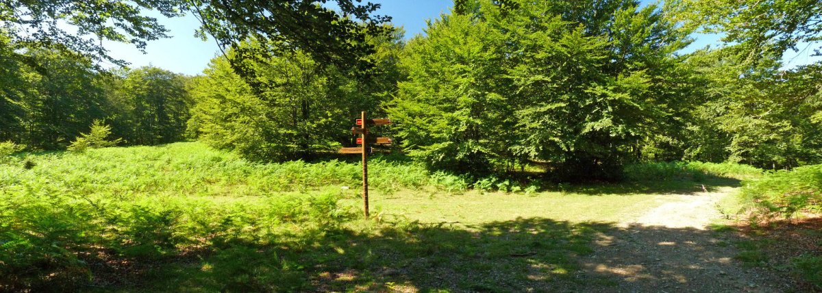 Intsustiko lepoa, Begaña eta Irumugarrieta artean