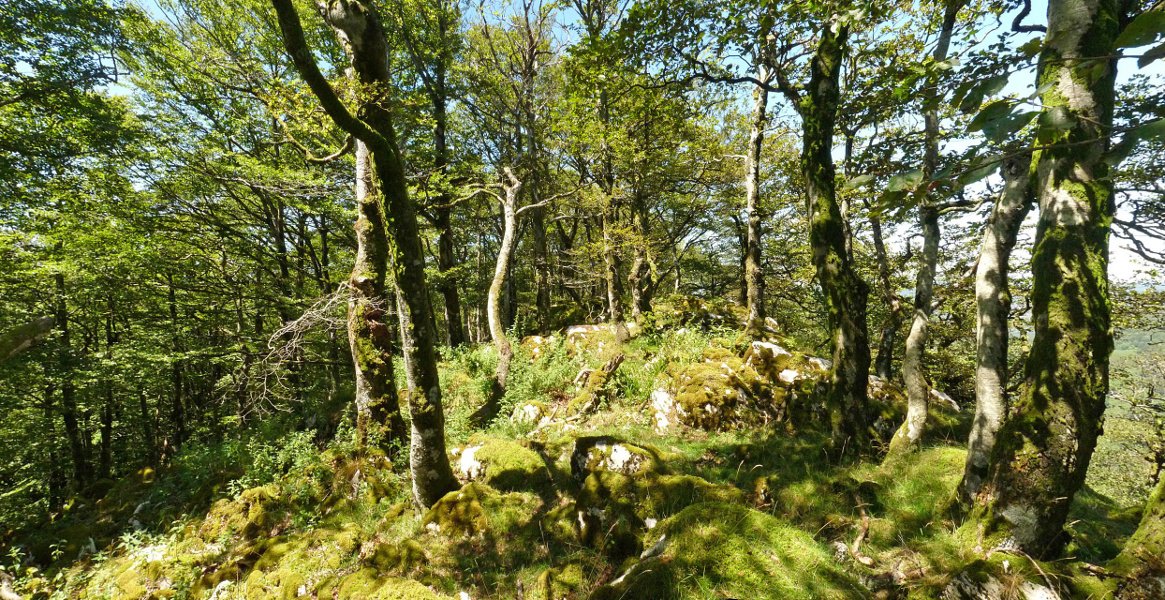 Goiko Soroko gailurra