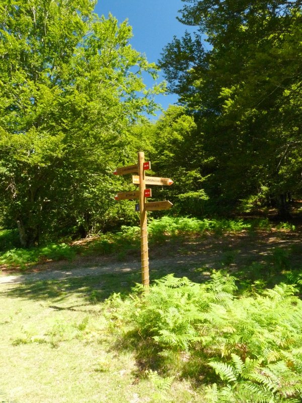 Intsustiko lepoa, Begaña eta Irumugarrieta artean