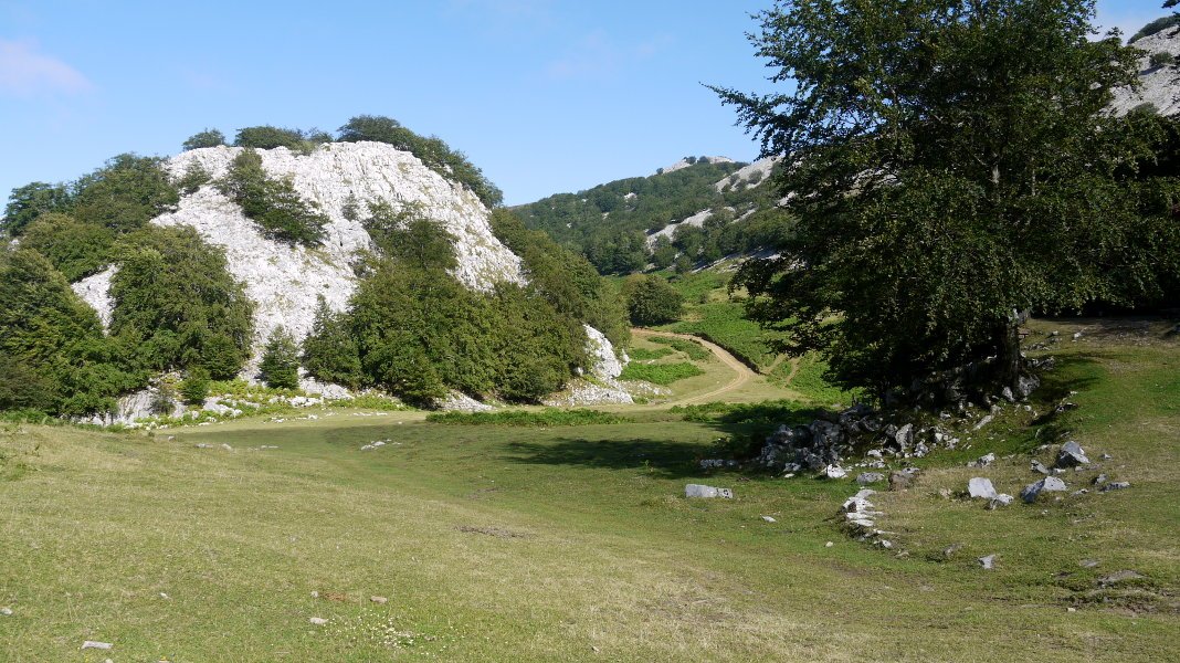 Urratxa, bide bazterrean