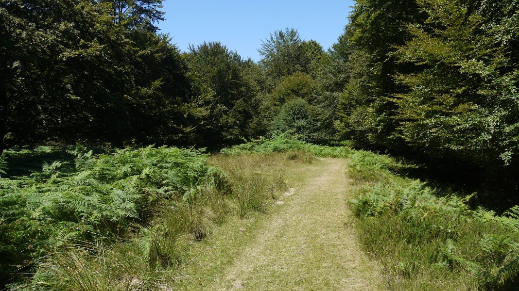 Burbona eta Altube arteko bideko pasarte bat