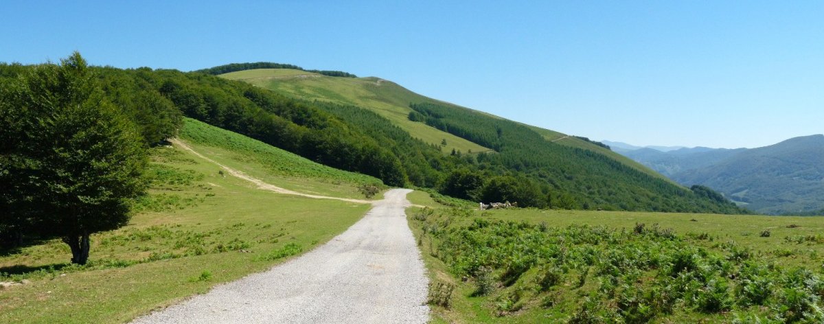 Errepetidorearen pista Baztarlako lepoan