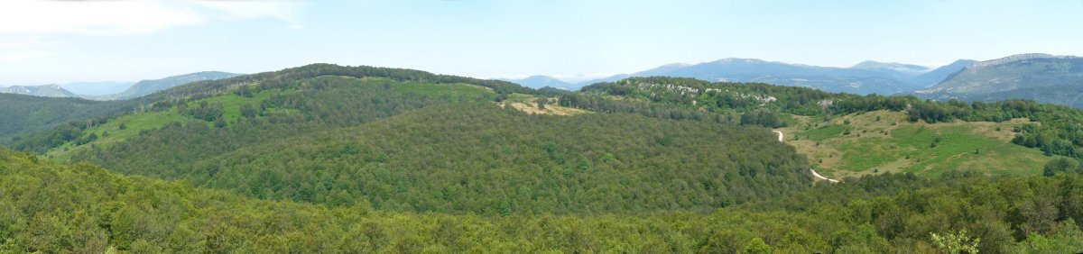 Bizkailuz Aezkoargaindik