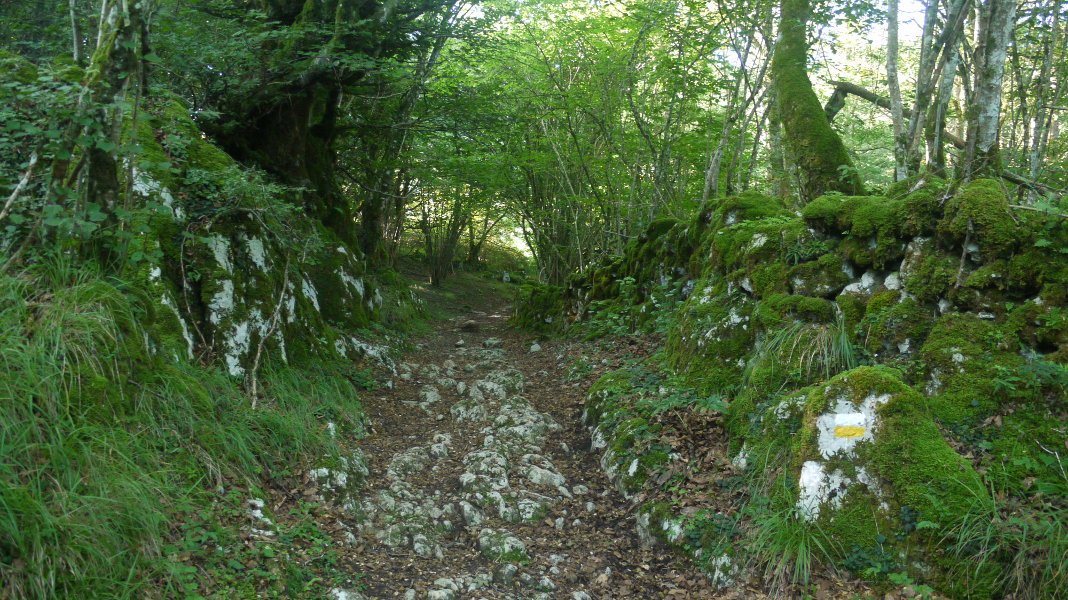 Estrata baten itxura du tarte batzuetan