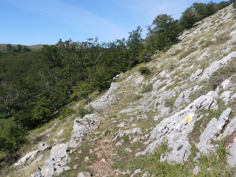 Artxueta eta Santutegiaren arteko lepora heltzeko azken txanpa