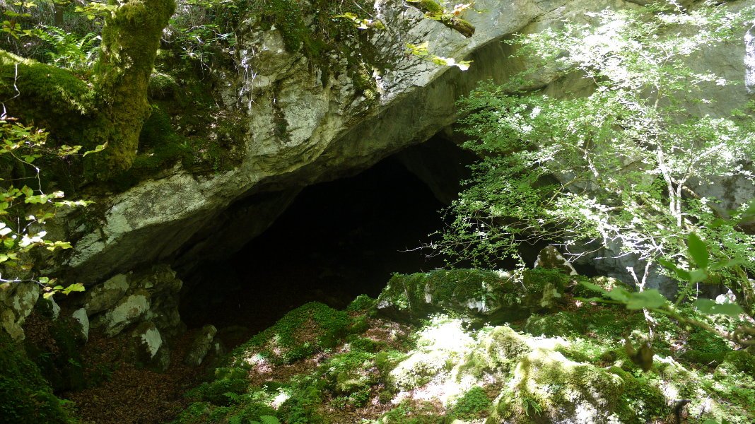 Leize haundi bat, Otsoita aldean