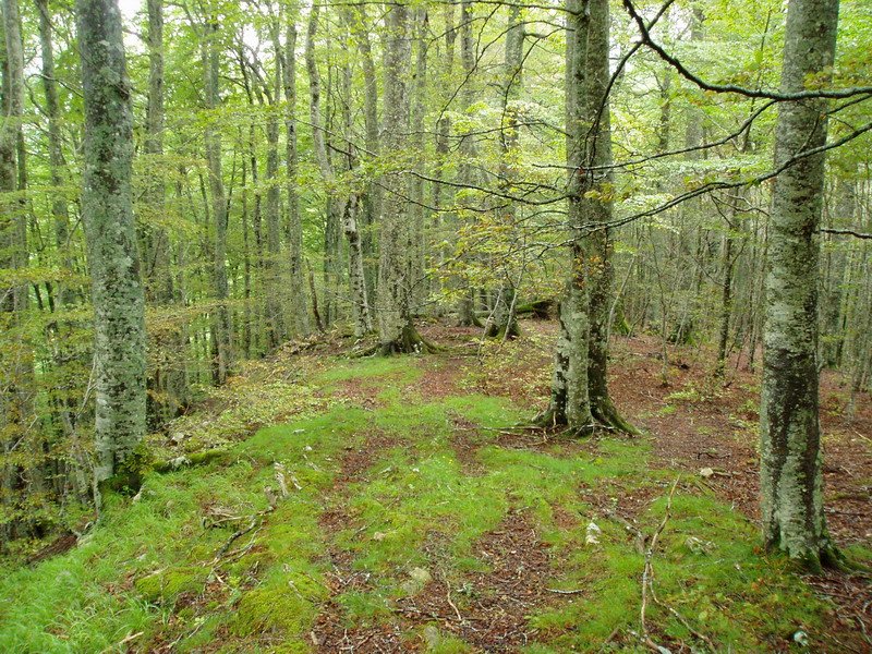 Morateko lepotik igotzen den bidea