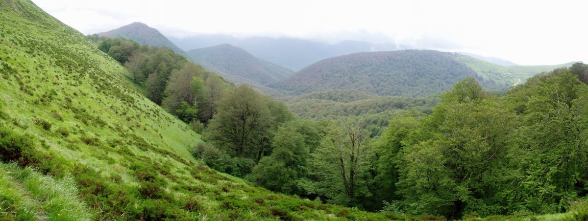Orion lepotik gerturatzen den bidetik ikuspegi zabala