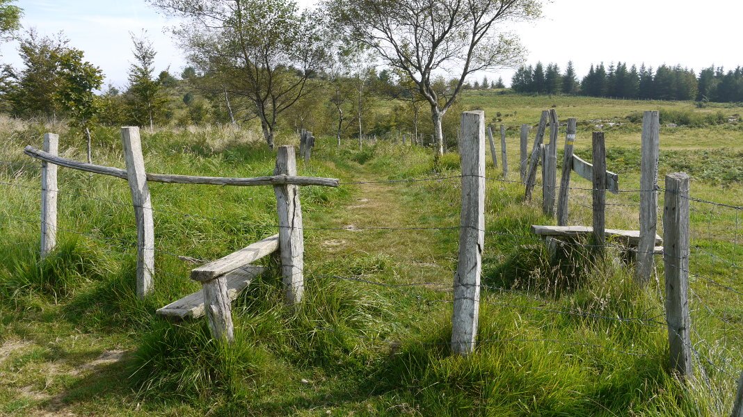 Harpausoa gurutzea eta aterpea inguratzen dituen hesian