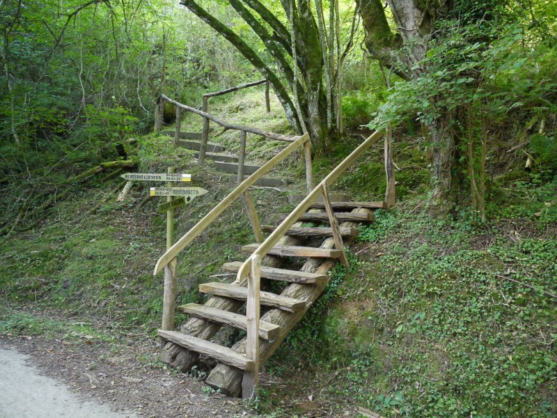 Elurzulora igotzeko zurezko eskilarak