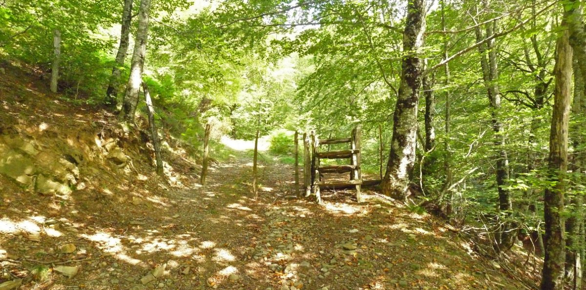 Ataka Makurlegiko sakanean, Leateko Harriko bidean