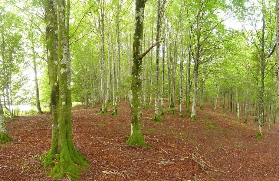 Iruzpegiko lepoa, Xaukadi eta Leateko Harriaren artean