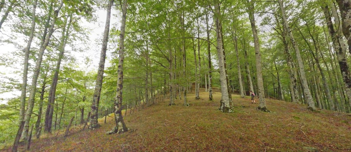 Xaukadiko pagadi garbia