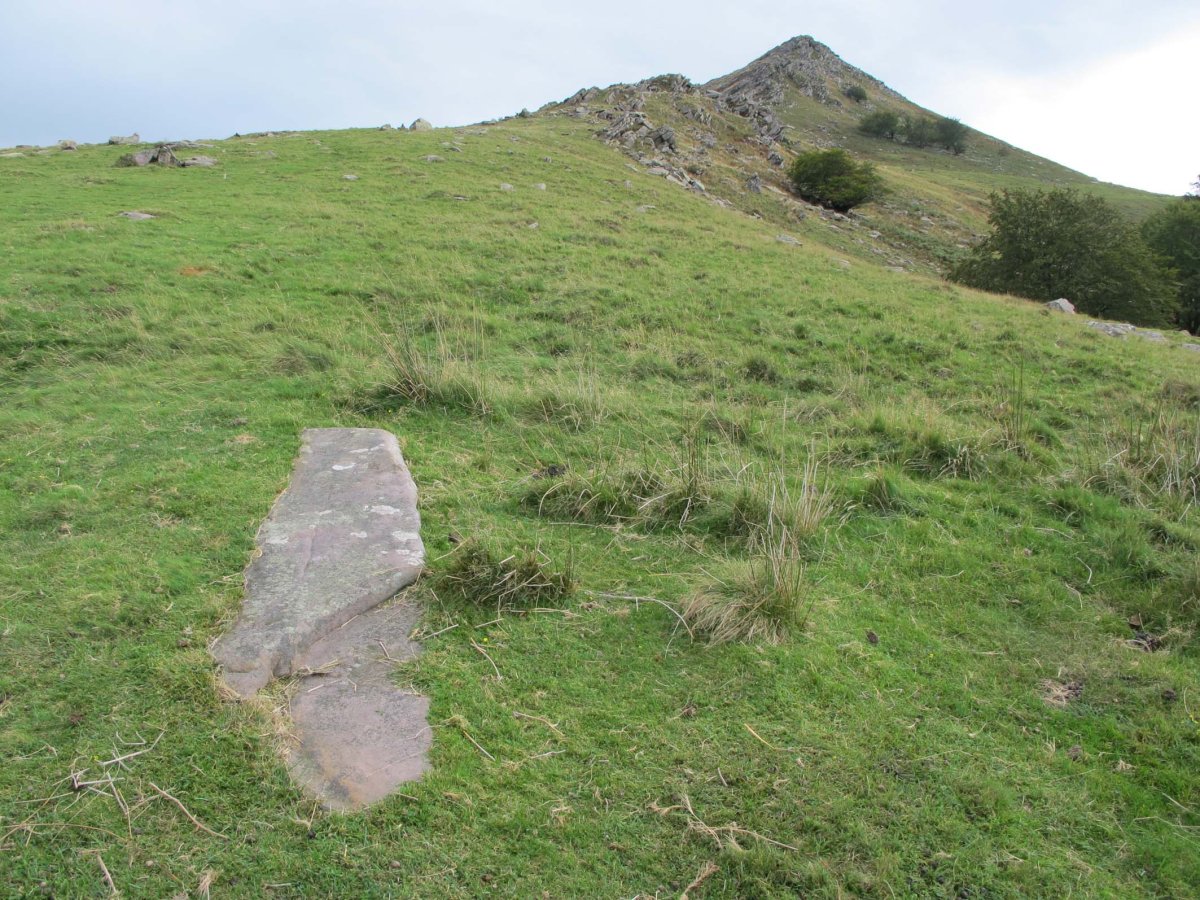 ARTXUBIETAKO BIZKARRA