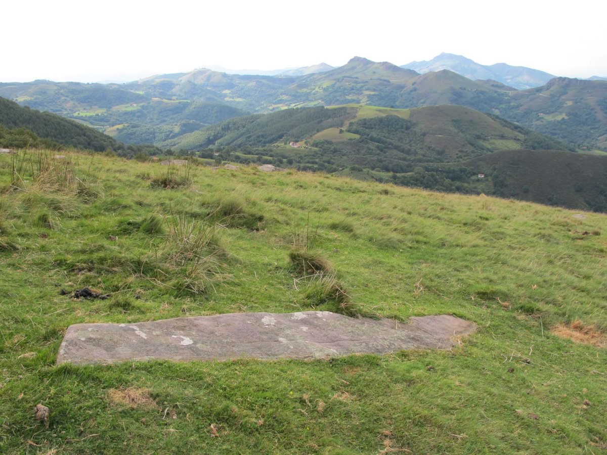 ARTXUBIETAKO BIZKARRA