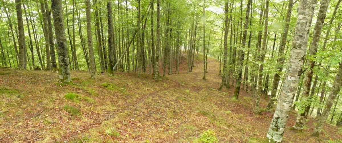 Bidea hegoaldeko isurialdean gora