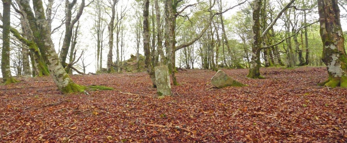 Erregerenako mugarriak eta atzean, gailurra