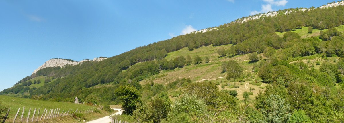 San Frantziskoko lepoa, Berrendiren begidadapean