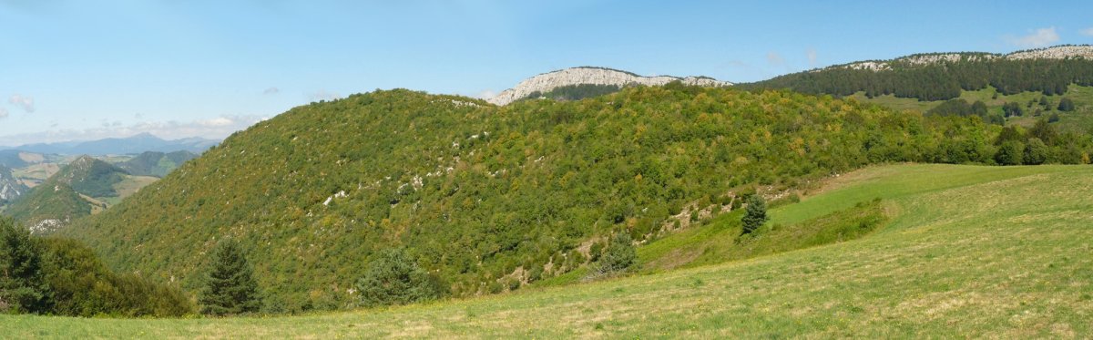 Bonbagaineko bizkarra Berrendiren azpian