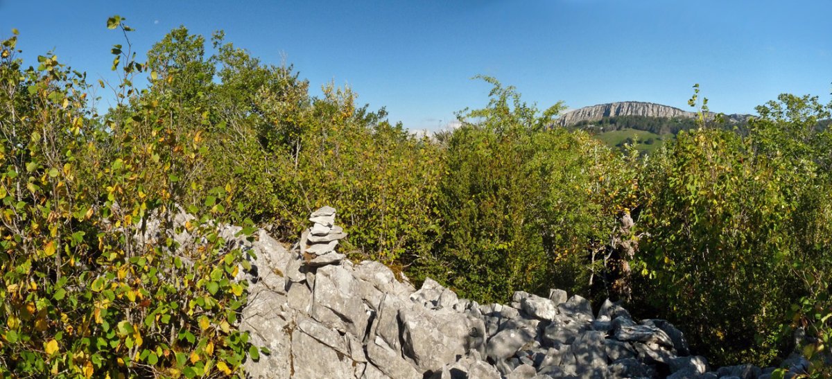 Bonbagaineko gailurra