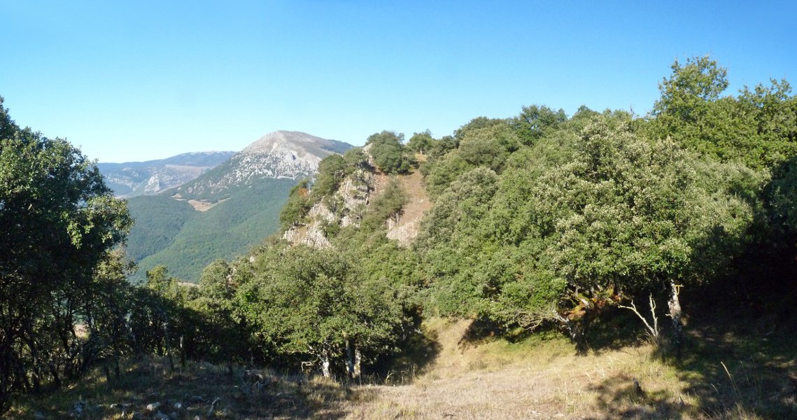 Mayoaren Harria, antzina zuhaitza zutitzen zen tokia