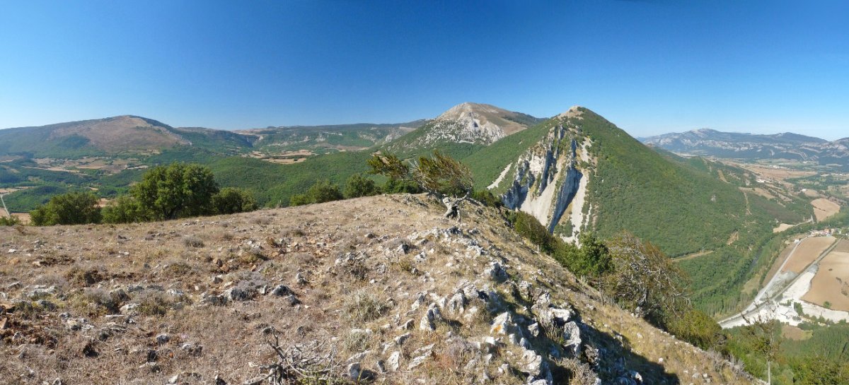 Mortxe, Txurregi eta Gaztelu Oskia/Bizkaitik