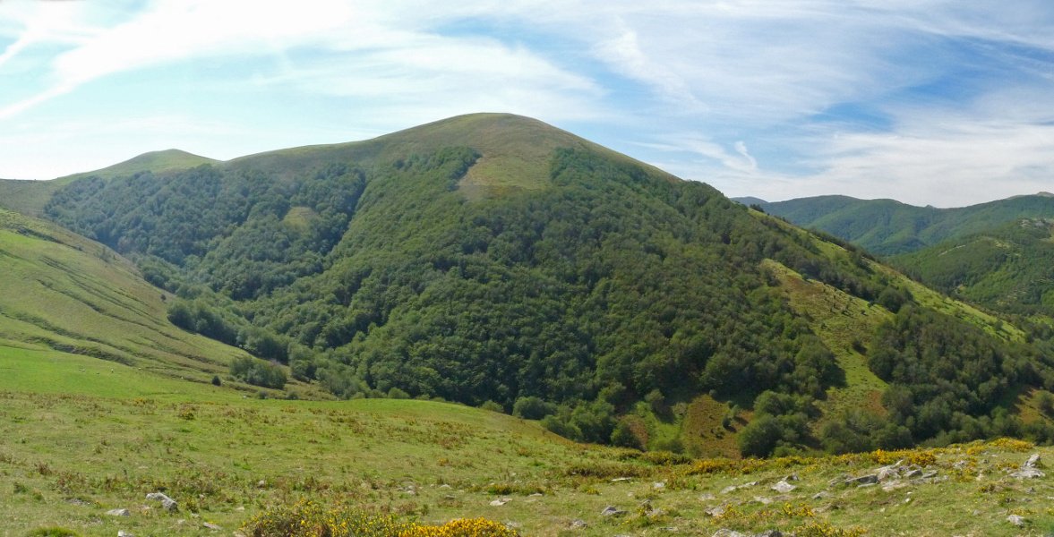 Okoro Araongo Harritik