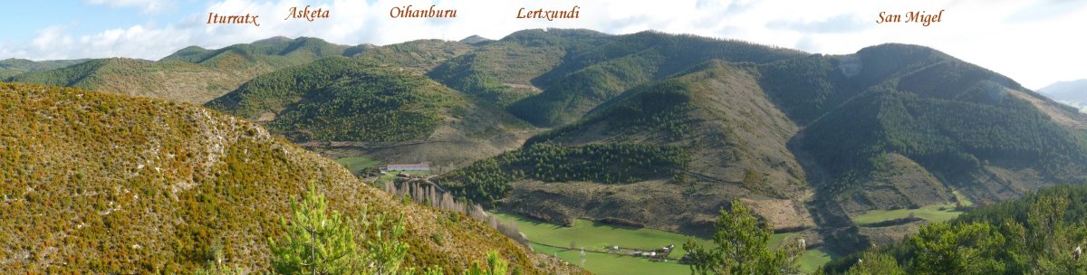 Mendialdeko gainak Aminagaindik