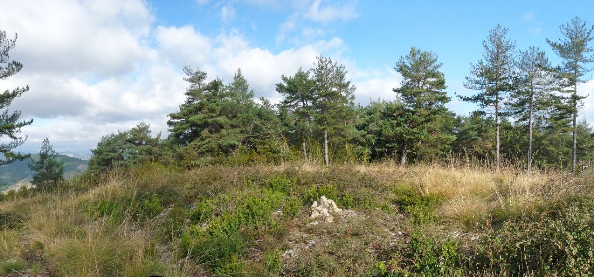 Lertxundiko gailurra (784m)