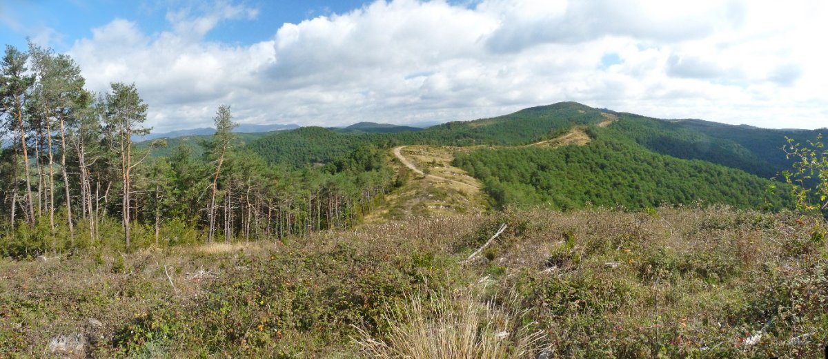 Panorama Asketatik ipar-ekialderantz, Beltzunegiko gainetarantz