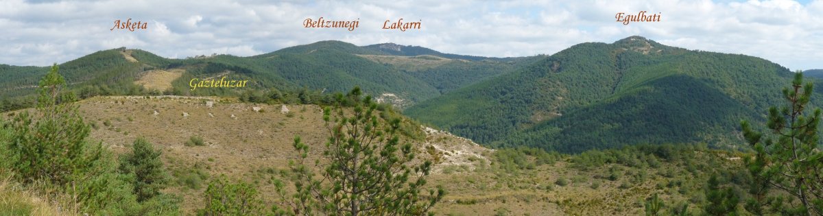 Lakarri inguruko mendiak Erbaluztik