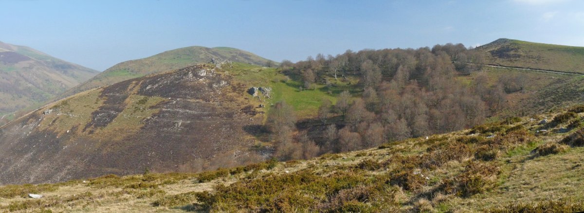 Arbilletako gainak Bagomultsuko hegitik