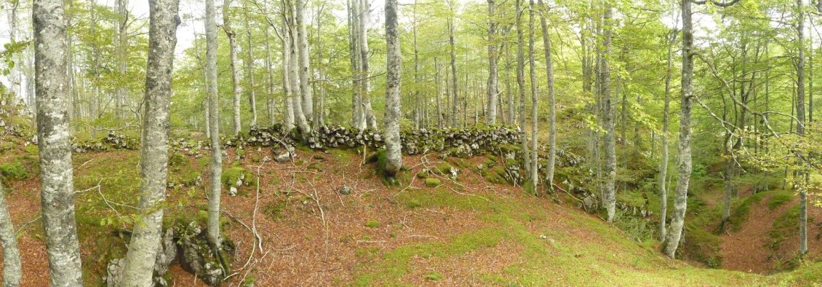 Antzinako murrua Zepoetako Lepoan