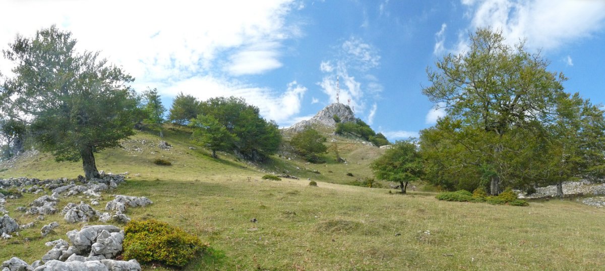 Artxueta. Azken txanpa ekialdeko bidetik