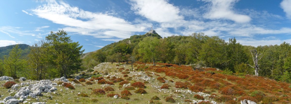 Artxueta ekialdeko bizkarreko bidetik