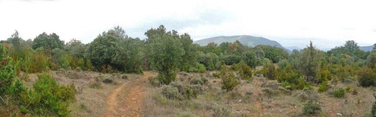 Monteidorreko gainaldea