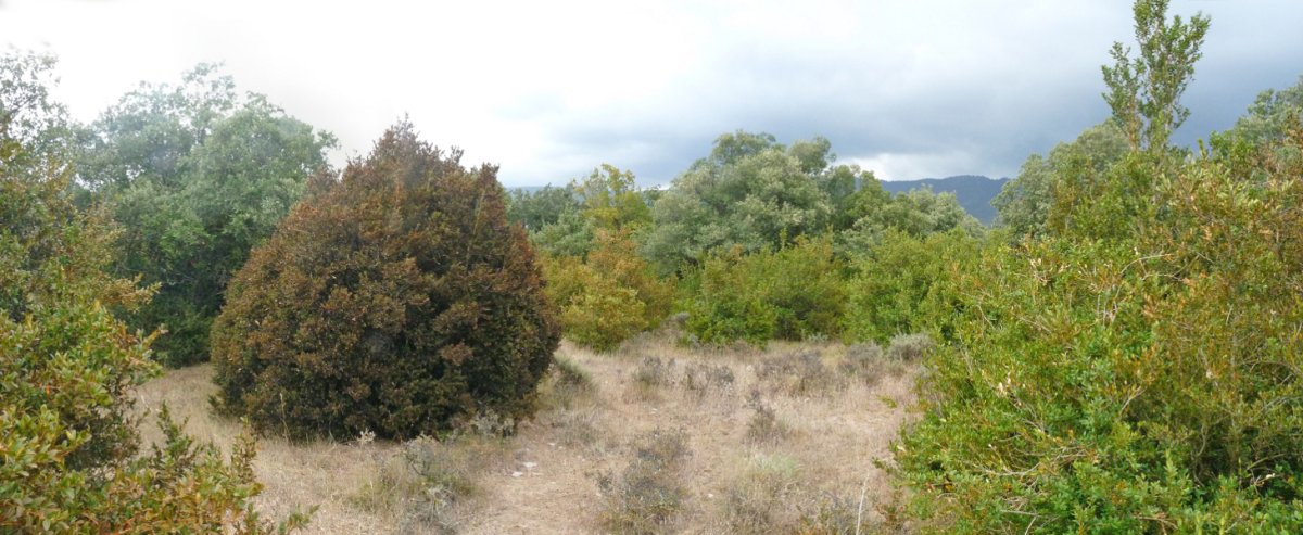 Monteidorreko gailurra