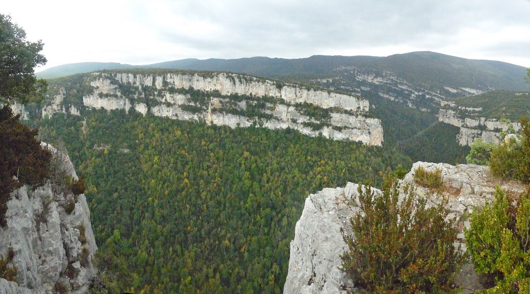 Arbaiungo arroilaren erdialdea Peñakornotako talaiatik