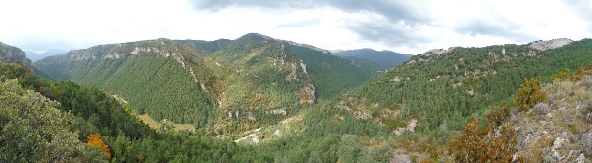 Burgiko arroila. Argible eta San Migelgo gandorrak ikusgai