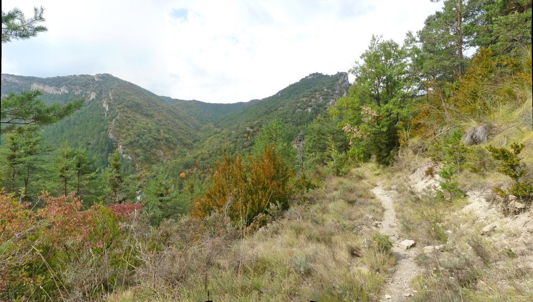 Mendibeltzako bide ederra