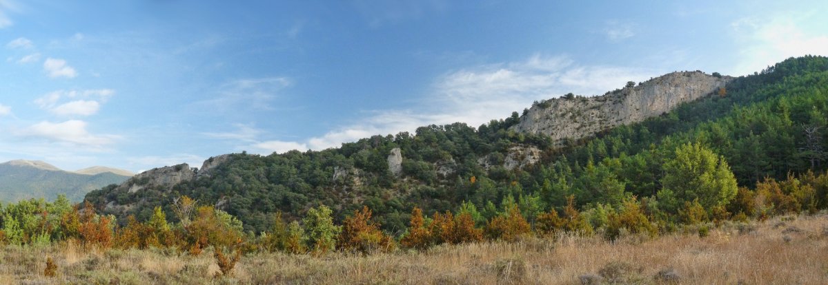 San Migelgo malkarrak 