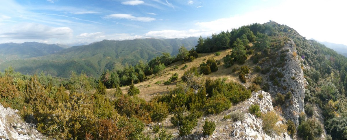 San Migelgo gandorra eta gailurra