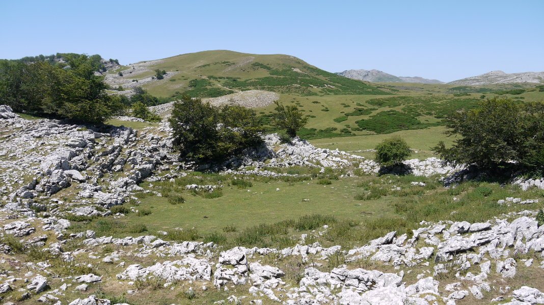 Txameni aldetik ikusita