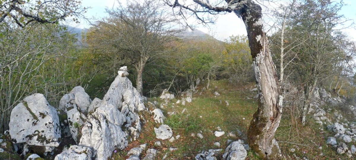 Egillor mendiko gailurra (910m)