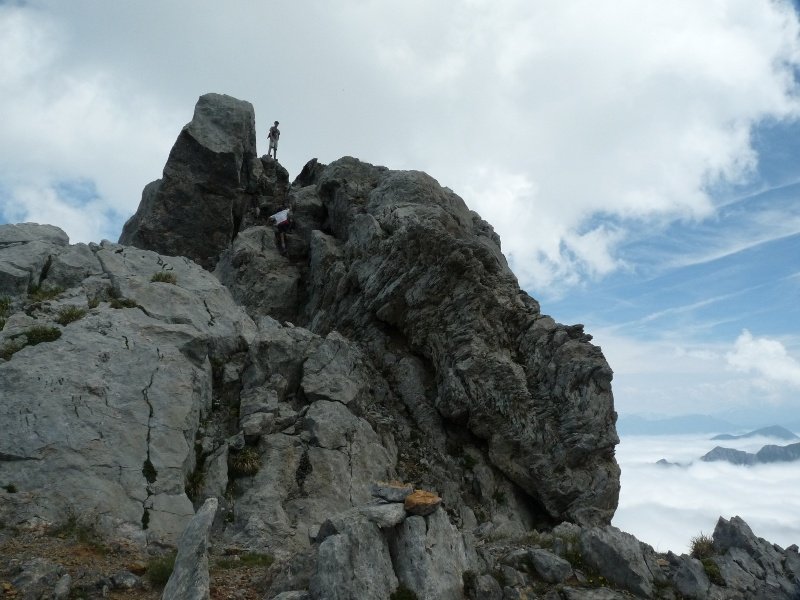 Sorbarkalgo gailurra